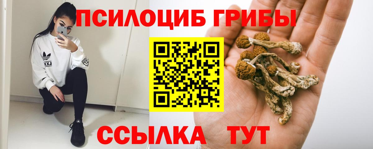 Михайловск  Галлюциногенные грибы Psilocybe  Галлюциногенные грибы мухоморы  Вход с VPN 