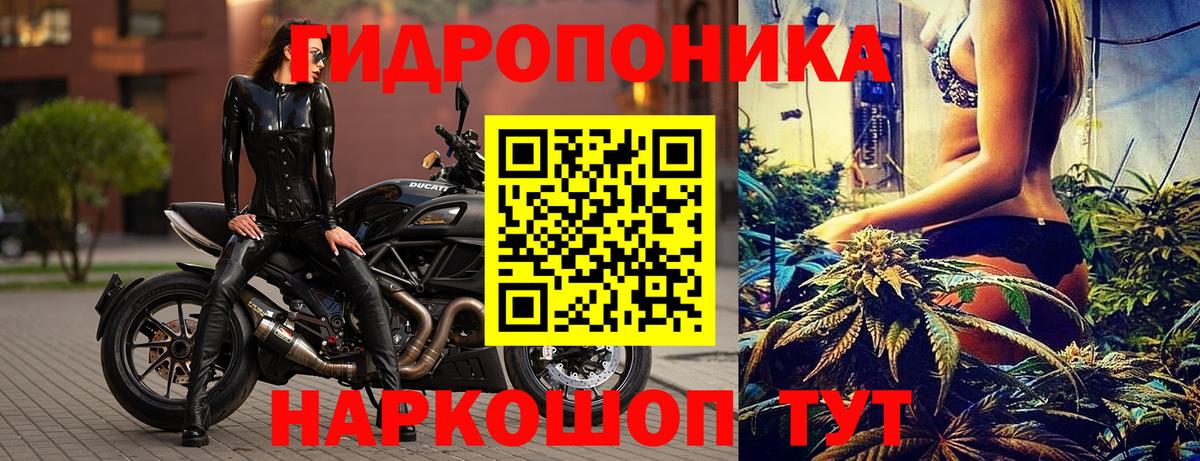 Михайловск  Бошки марихуана планчик  Вход с VPN  Бошки марихуана LSD WEED 